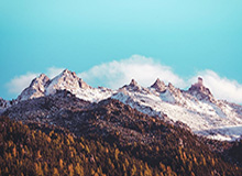 开云体育官网开云-CBA1/4决赛对阵出炉 沪深交锋 辽粤京厦死亡半区