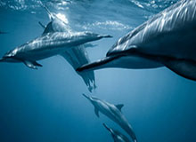 hth：把日常过成仪式的品牌之旅